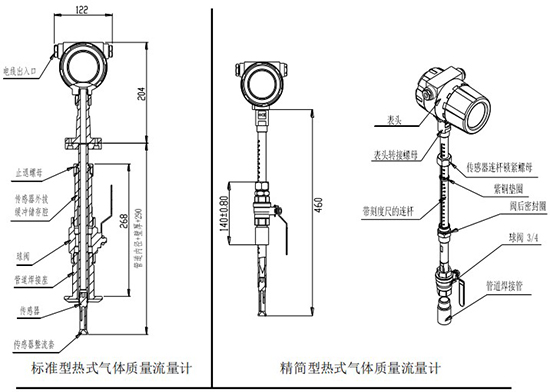 數顯氣體質(zhì)量流量計插入式結構圖