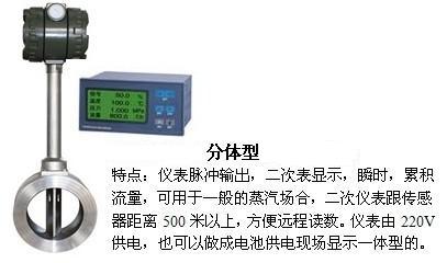 高壓氣體流量計分體型產(chǎn)品圖